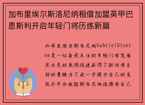 加布里埃尔斯洛尼纳租借加盟英甲巴恩斯利开启年轻门将历练新篇
